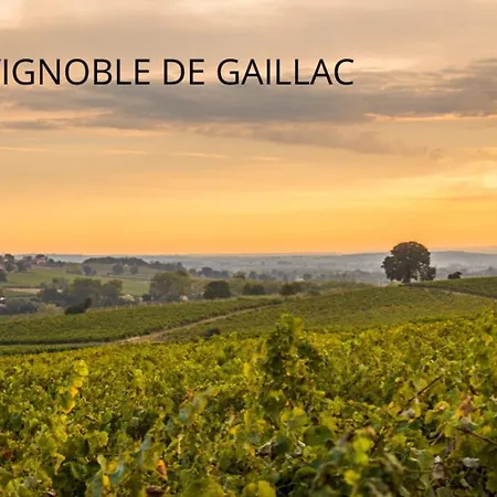 Maison Les 3 Perles - Hypercentre - Gaillac